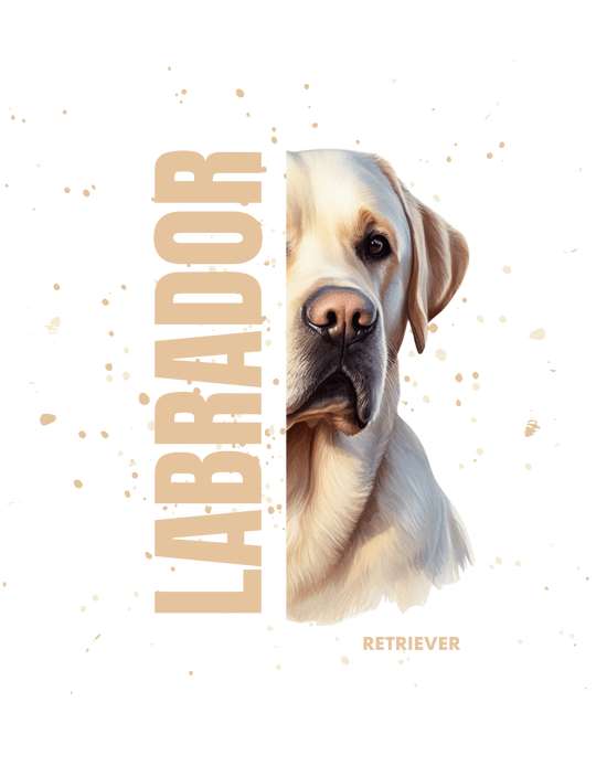 Labrador Retriever-Yellow