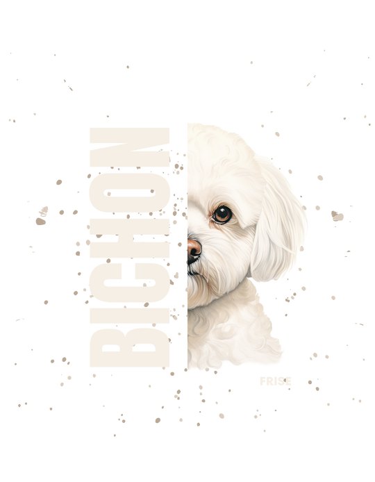 Bichon Frise