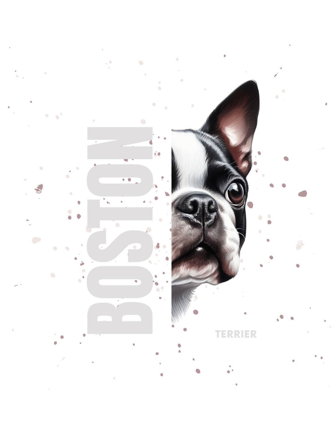 Boston Terrier