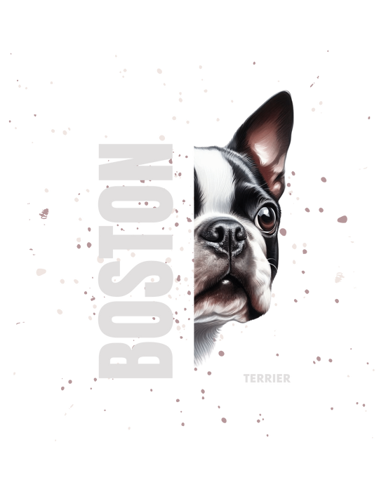 Boston Terrier