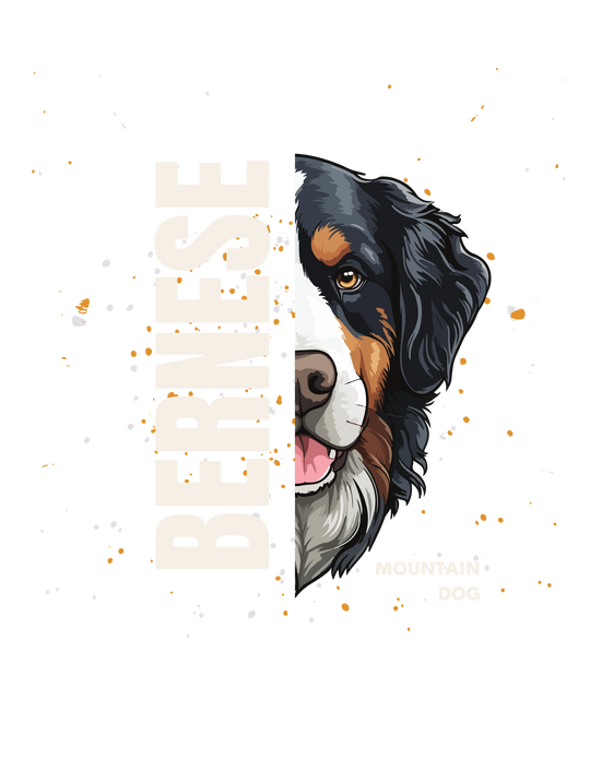 Bernese Mountain Dog