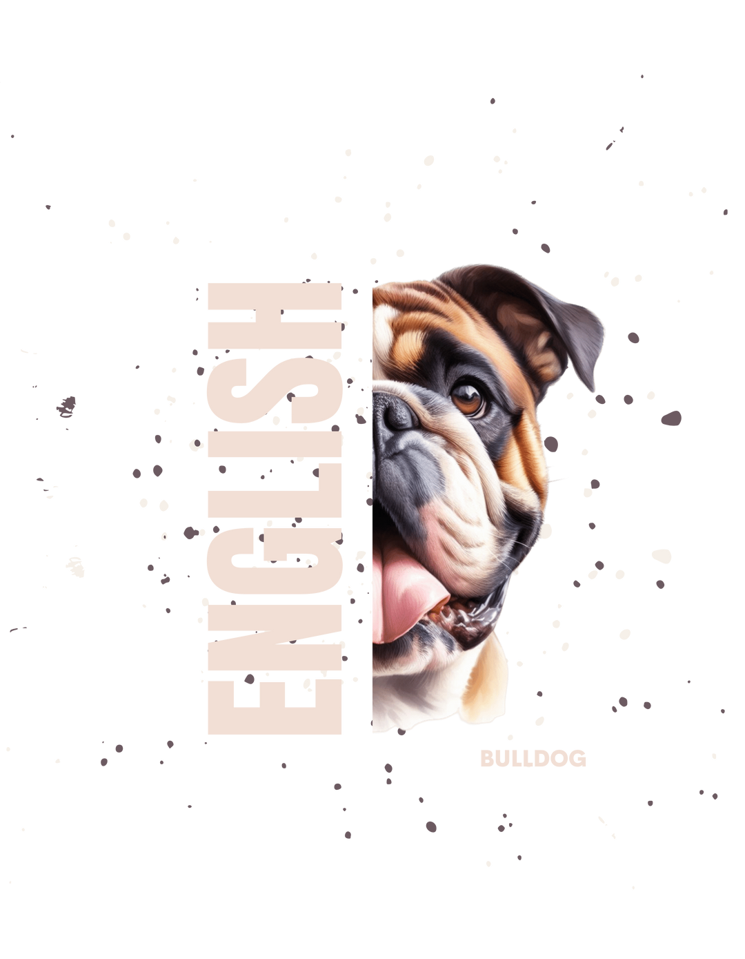 English Bulldog