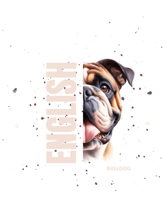 English Bulldog