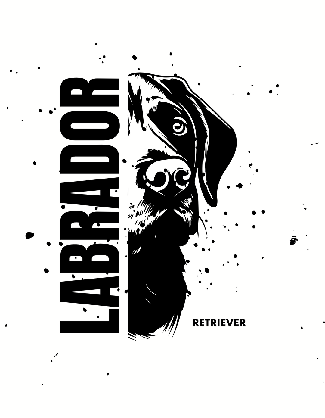 Labrador Retriever-Black