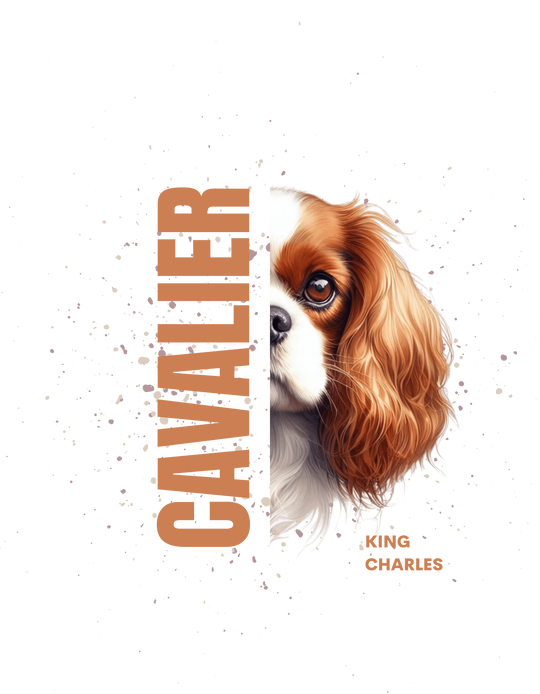 Cavalier King Charles Spaniel