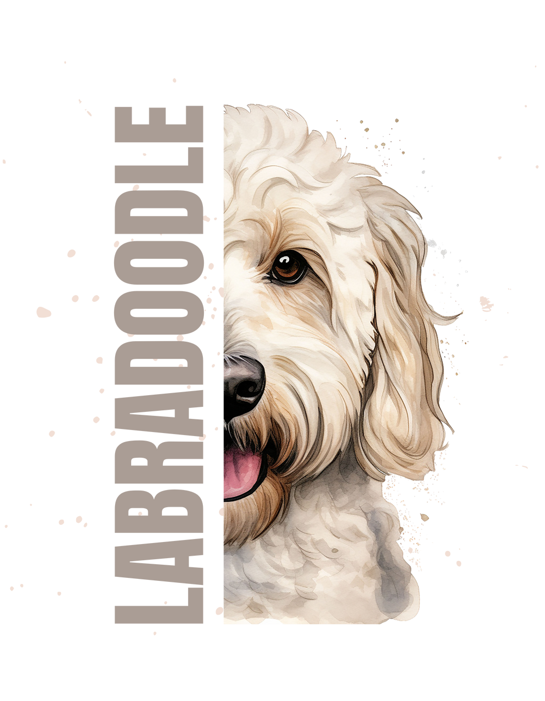 Labradoodle