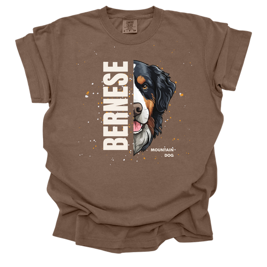 Bernese Mountain Dog