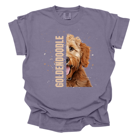 Goldendoodle