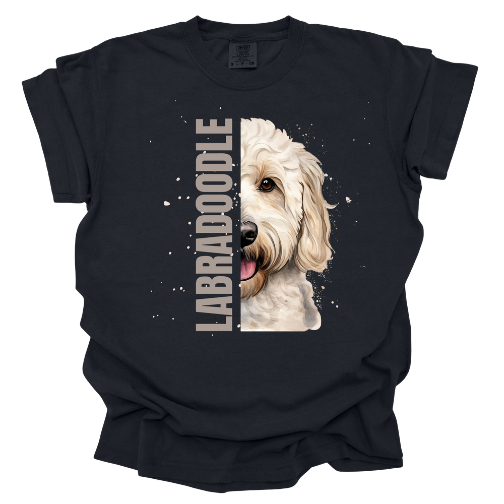 Labradoodle