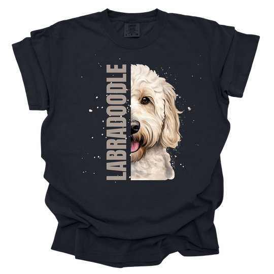 Labradoodle