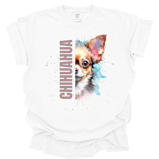 Chihuahua