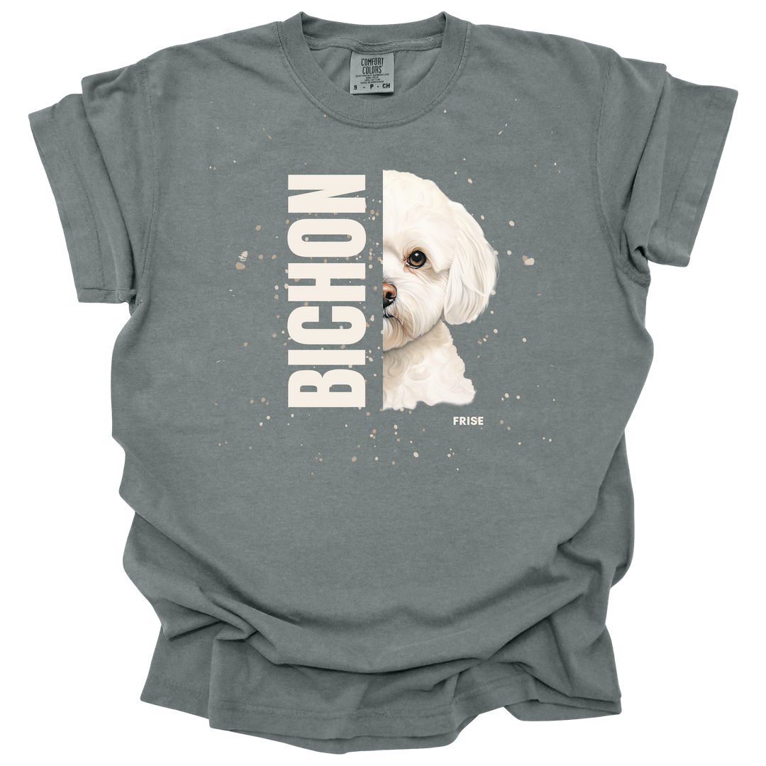 Bichon Frise