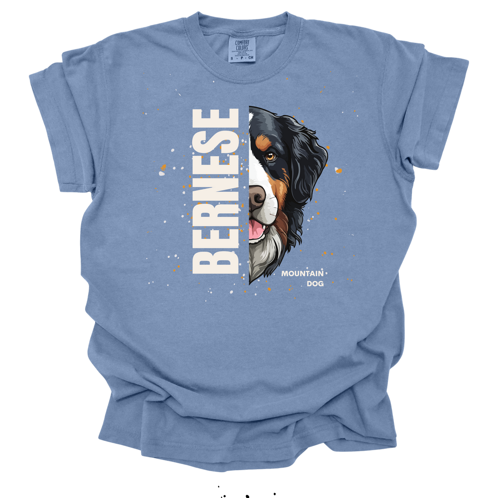 Bernese Mountain Dog