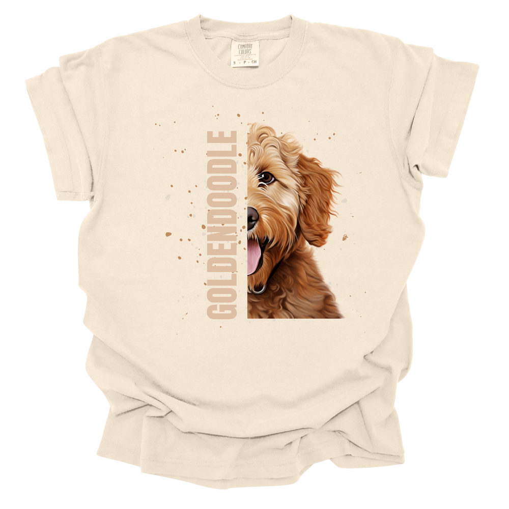 Goldendoodle