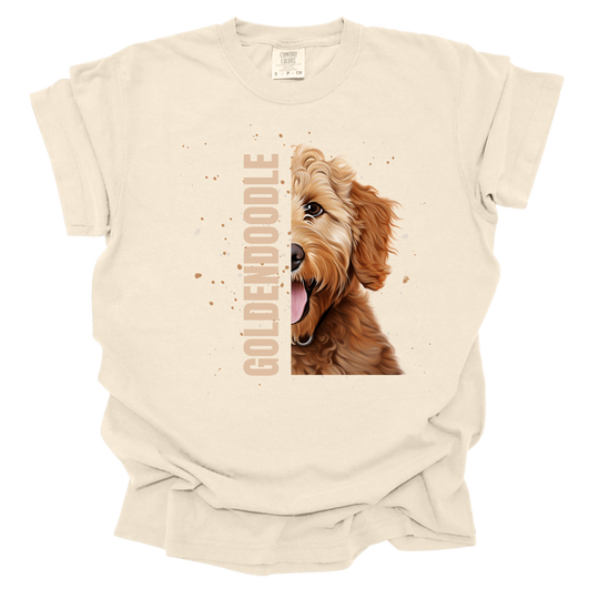 Goldendoodle