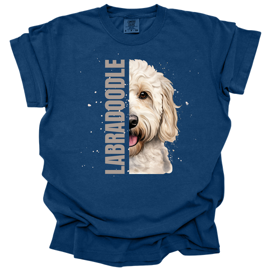 Labradoodle